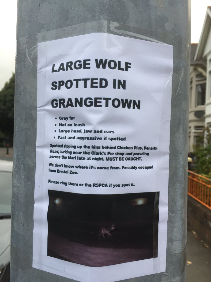 steveaustins76's tweet image. Who says this isn’t the most exciting place to live in Cardiff!