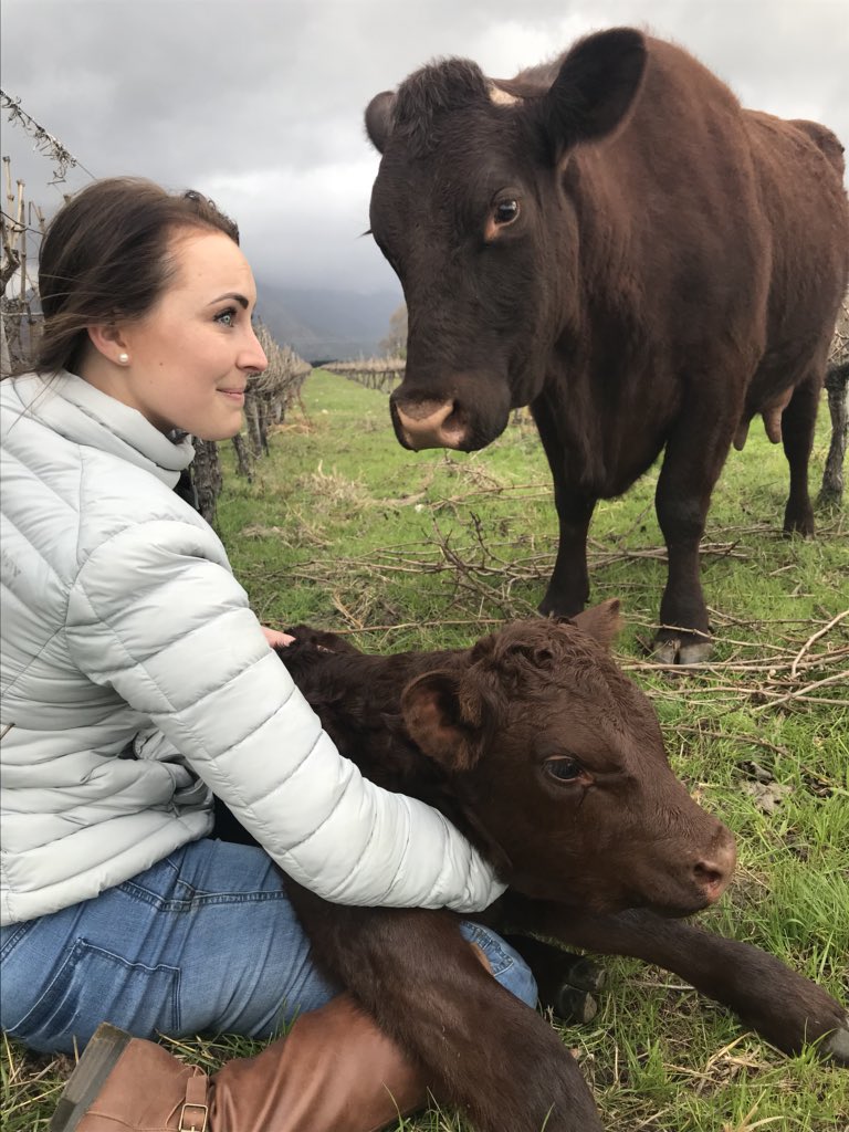 Wat ‘n voorreg🙏🏼
.
.
<a href="/SussexSociety/">Sussex Society</a> @AgriSAOfficial @AgriOrbit <a href="/AgriWesKaap/">Agri Wes-Kaap | Agri Western Cape</a> <a href="/thecattlesite/">The Cattle Site</a> <a href="/FarmersWeeklySA/">Farmer's Weekly</a> <a href="/landbou/">landbou.com</a> <a href="/Veeplaas1/">@veeplaas1</a>