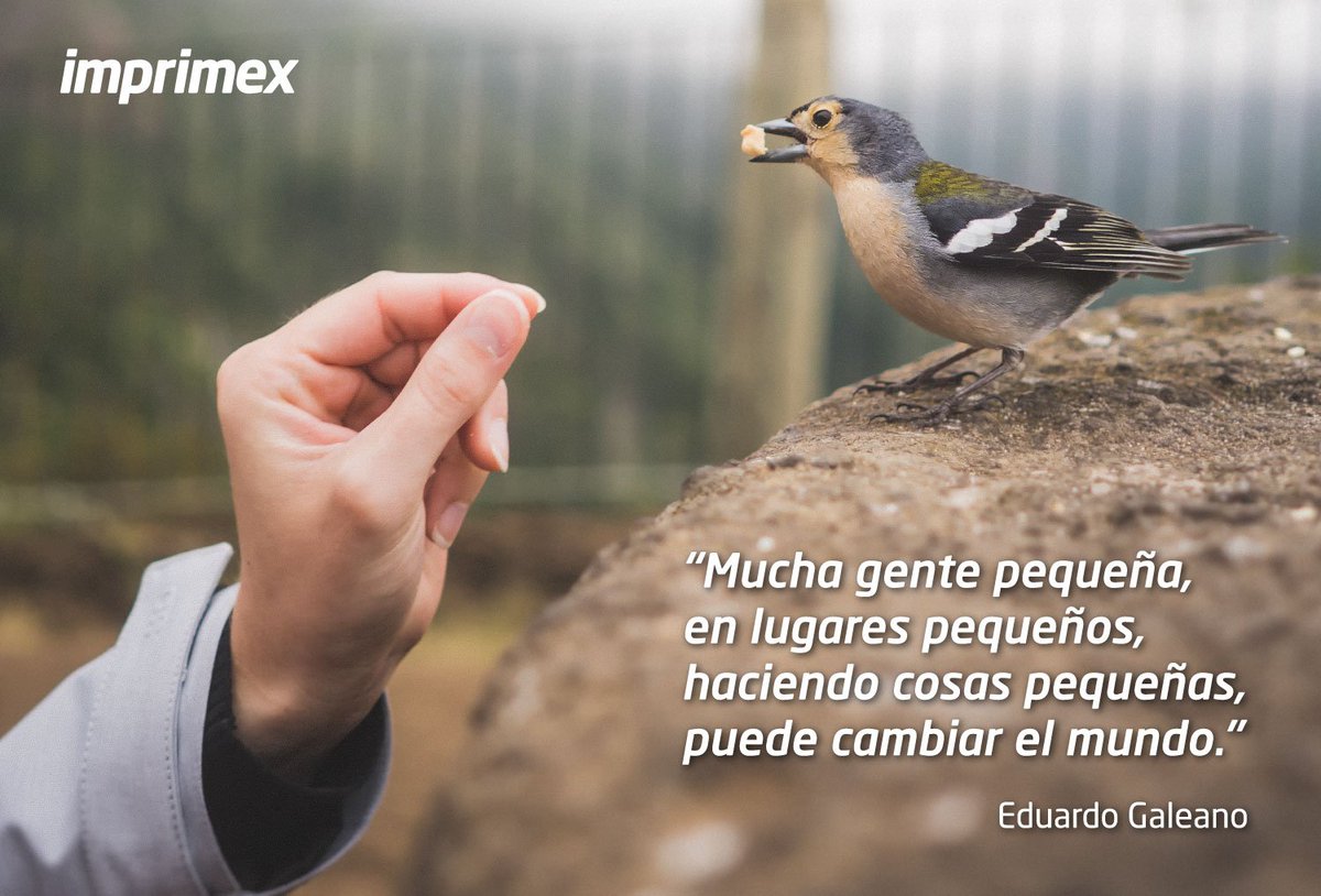ImprimexUY's tweet photo. Hoy recordamos al escritor y periodista Eduardo Galeano en el día de su nacimiento. #literatura #periodismo https://t.co/mlYq1737NU