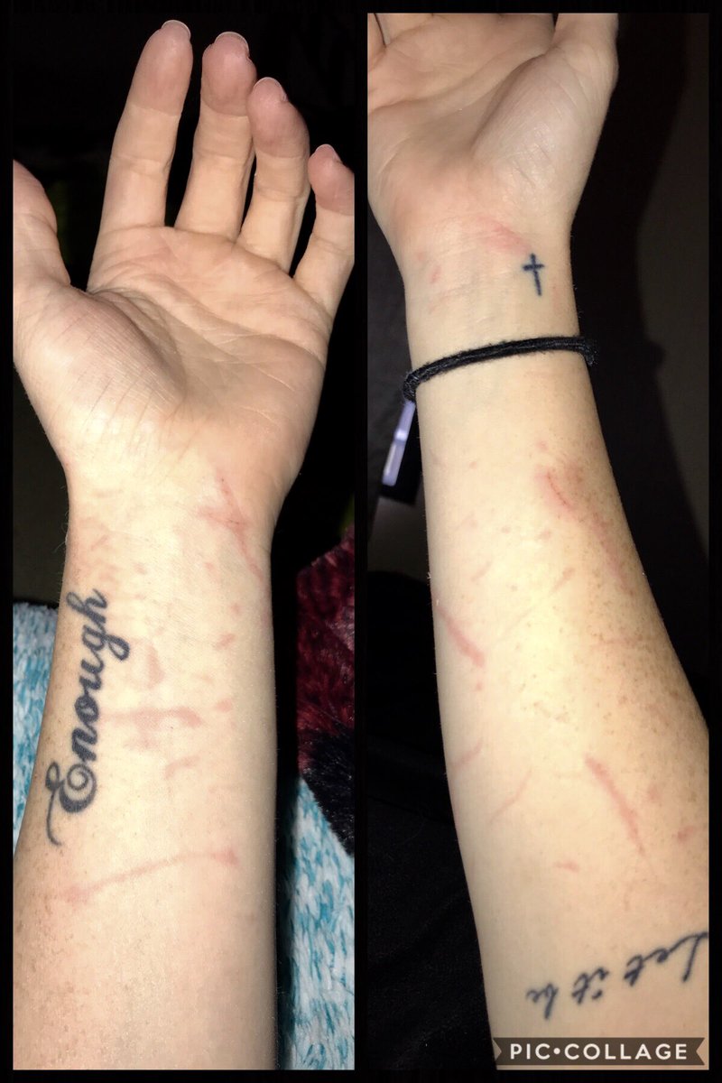 tooXbrutal's tweet photo. Who needs a new cat? In just 10 minutes of play time he can give you all new scratches https://t.co/pxtISFznMP