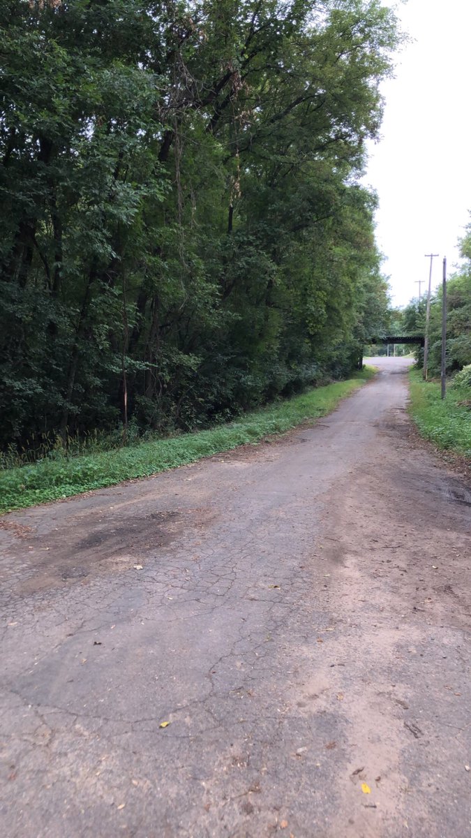 ChippewaFallsNerf tweet media