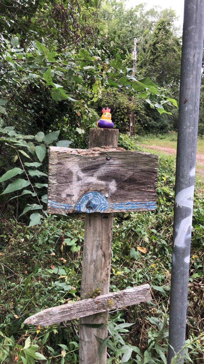 ChippewaFallsNerf tweet media