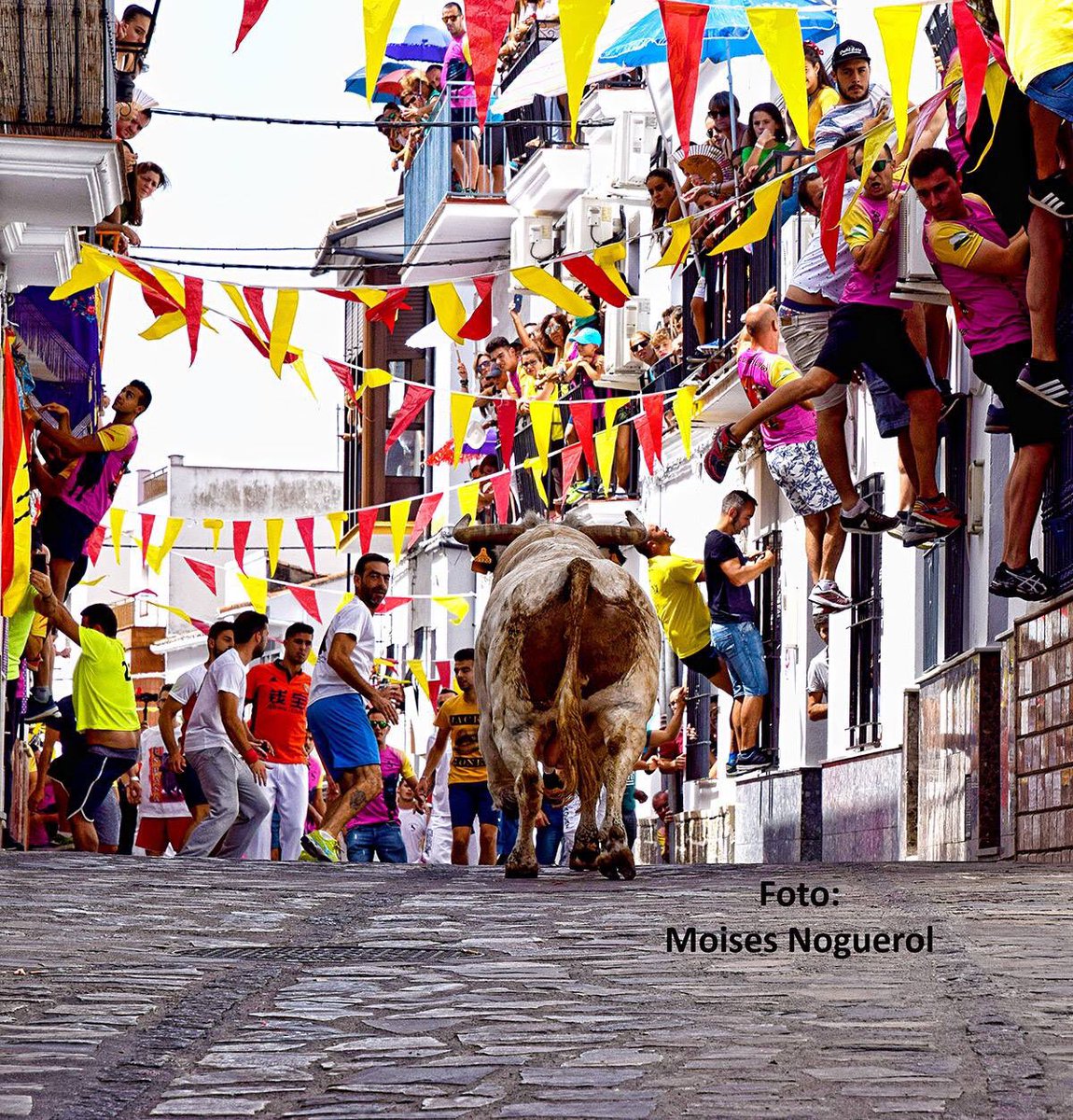 ToroGayumbo's tweet photo. Resumen y agradecimientos de la suelta del Toro del Gayumbo 2018. https://t.co/FR7RTCSnX4 #Ubrique https://t.co/SkoZaMsJ1h