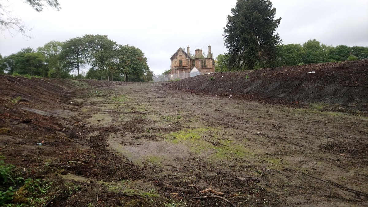 mikeypetty75's tweet photo. The grand driveway revealed now the developers have cleared the land only the monkey puzzle tree survives #doctorshouse #Abandoned @74frankfurt https://t.co/ls1Nhpm1Lf