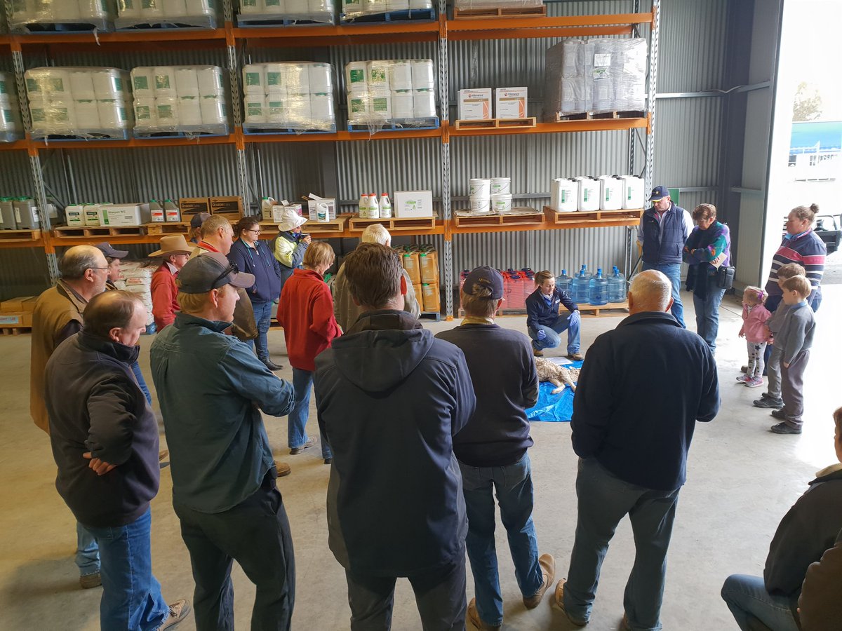deltaagribus's tweet photo. Coonamble grower breakfast underway. Livestock nutrition and post mortem study. #ItRainedToday #Livestockeducation #AllGoodInCoonamble https://t.co/epfcGFcF5y