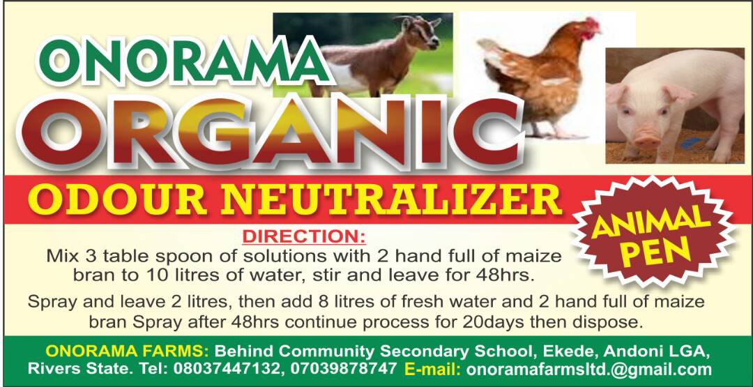 enerama tweet picture