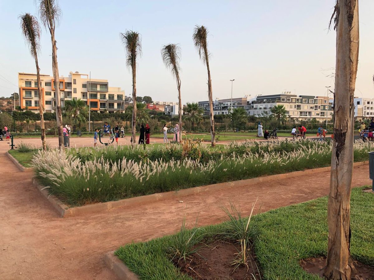 7didane's tweet photo. Ceci est un jardin public à Casablanca. Merci au promoteur, au quartier et à la ville. 

Bien sûr ce genre d’images ne sera jamais sur Casa bla visa, et même d’autres trouveront qu’il n’y a pas assez de topless et trop de voiles 🤷‍♂️ https://t.co/aS2ShSOukN