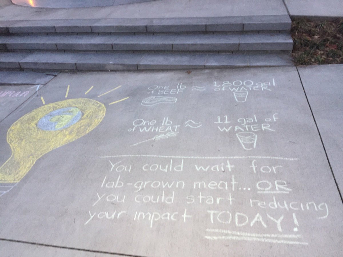 gtveggiejackets's tweet photo. Come chalk with us at our meeting tomorrow (Tuesday, 9/4/18) at 6 PM in East Architecture 107! Check out these pictures from last year for some artistic inspiration. #veganatl #veganatlanta #veggiejackets https://t.co/zMistm9iaS