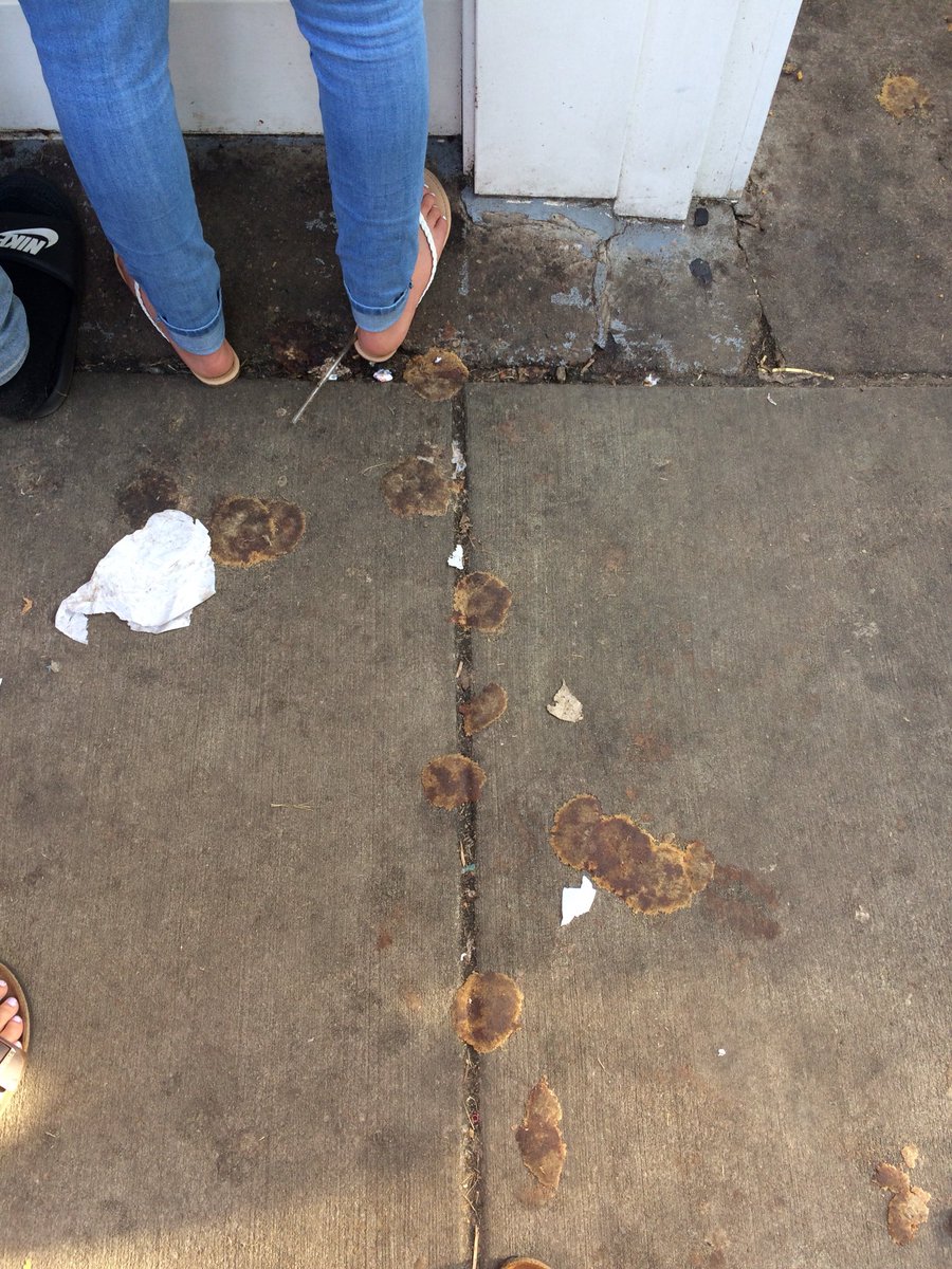 JohnBecicka's tweet image. To All the Cookies I’ve Dropped Before