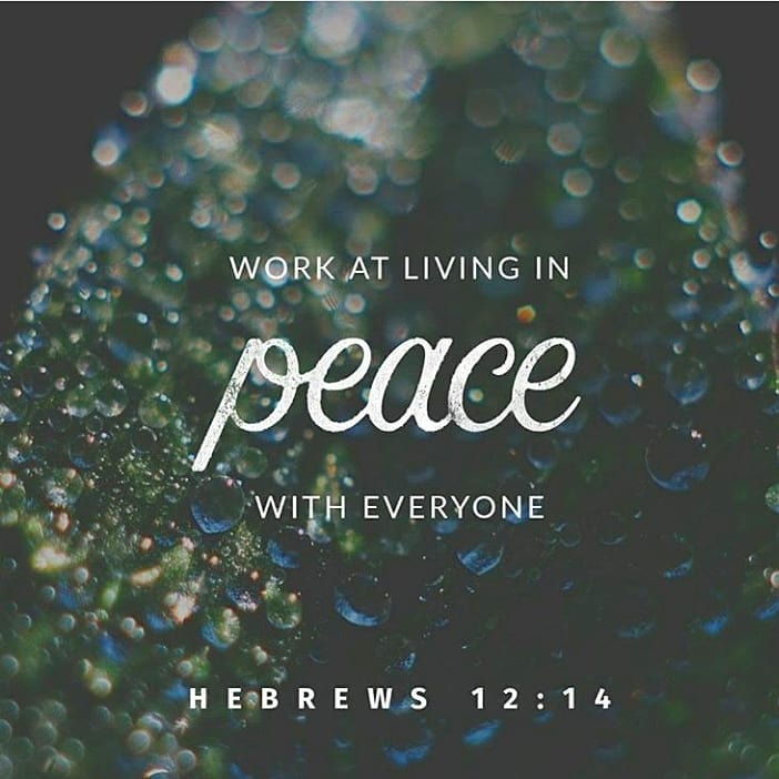 sharedailyfaith's tweet photo. Work at living in peace with everyone.
Hebrews 12:14
Follow for daily inspiration
#bibleverseoftheday #godisreal #blessedandhighlyfavored #faith #godbeforeme #poweroflove #godisgood #sacrament #love #praisegod #godquote #scriptures #godloves #spreadthelove #godislove https://t.co/u8mfSZu8JI