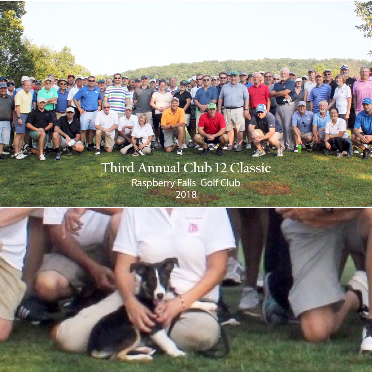 Goosedogs4Sale's tweet photo. If you zoom in (we took the liberty), you will see BENSON!!!, who was a big hit at this fundraiser golf tournament #raspberryfalls #golfcoursesuperintendent #bensonandhedges #goosedogsforsale #dogsoftwitter #dogsofturf https://t.co/pxnGCIj0EK