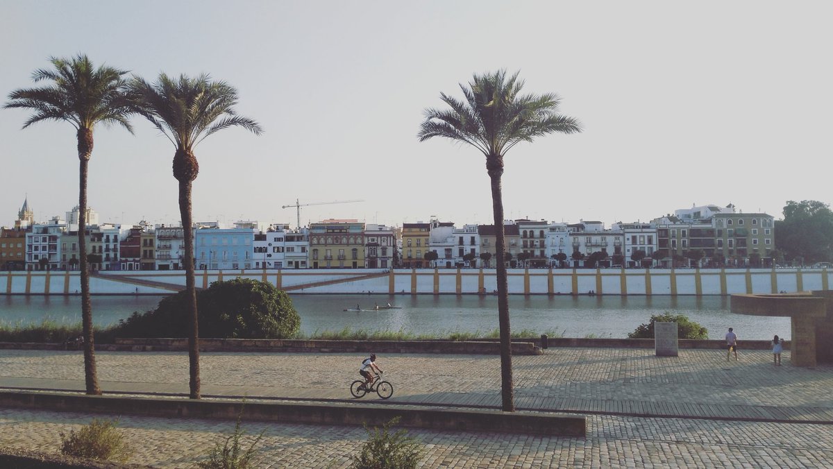 nonsolostreetfood tweet media