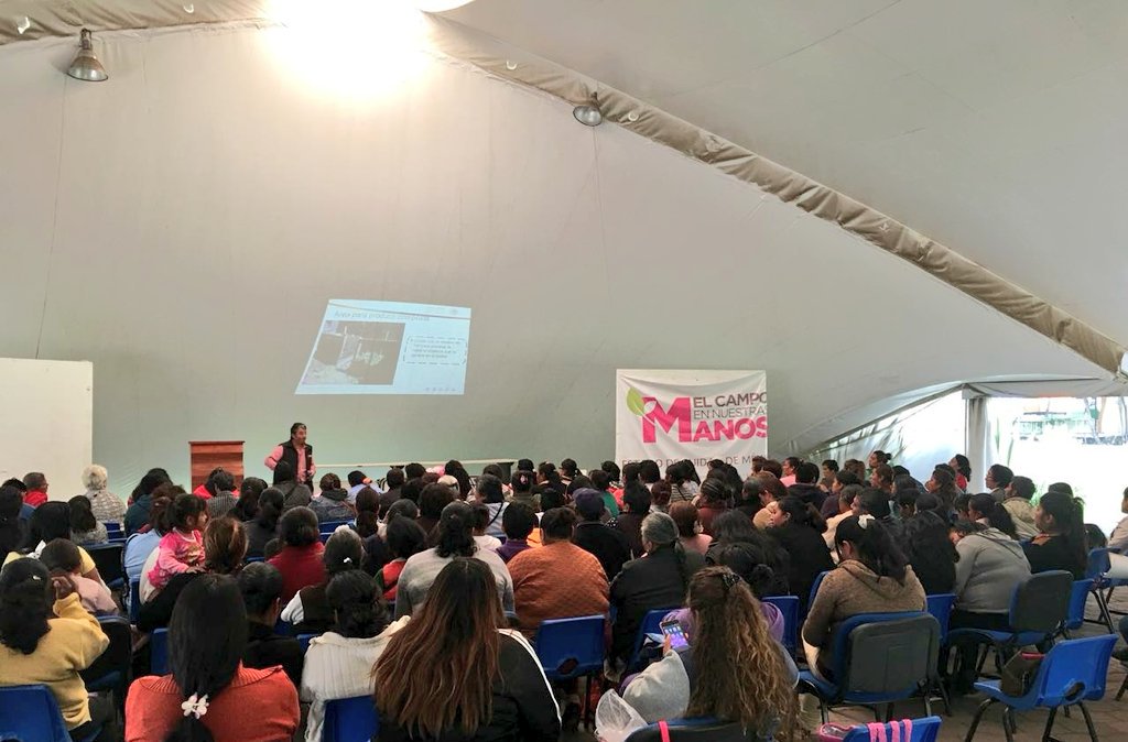 YeseniaMtzPlata's tweet photo. Con la capacitación que brinda el #ECENM a nuestras beneficiarias, aseguramos la correcta utilización de los módulos de autoconsumo. Capacitación hortícola, cunícola y avícola a más de 150 mujeres de la #CDMX @BaltazarxTam @sm_chavarria @SAGARPA_mx @MujeresCampo @calidad_suprema https://t.co/KPX5AxffD0