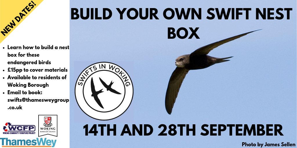 bunceyola's tweet photo. New dates for the workshops in September with @SwiftsInWoking. Open to anyone living in the Borough of Woking. Build your own swift box and take it home. Places still available. 
@SurreyBirdNews https://t.co/hrlwtnzsJx