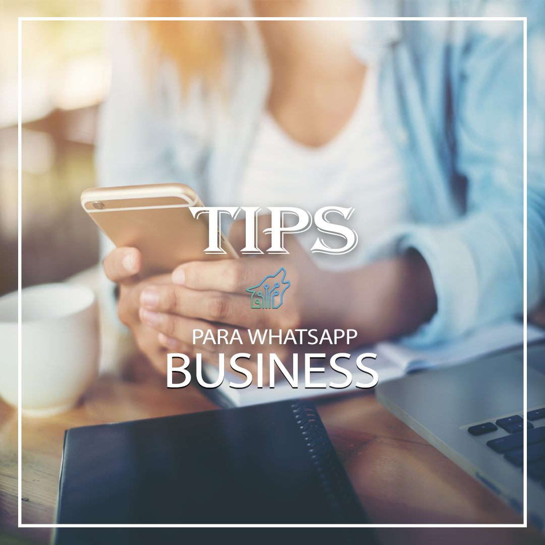 Touwolf Technologies tweet media