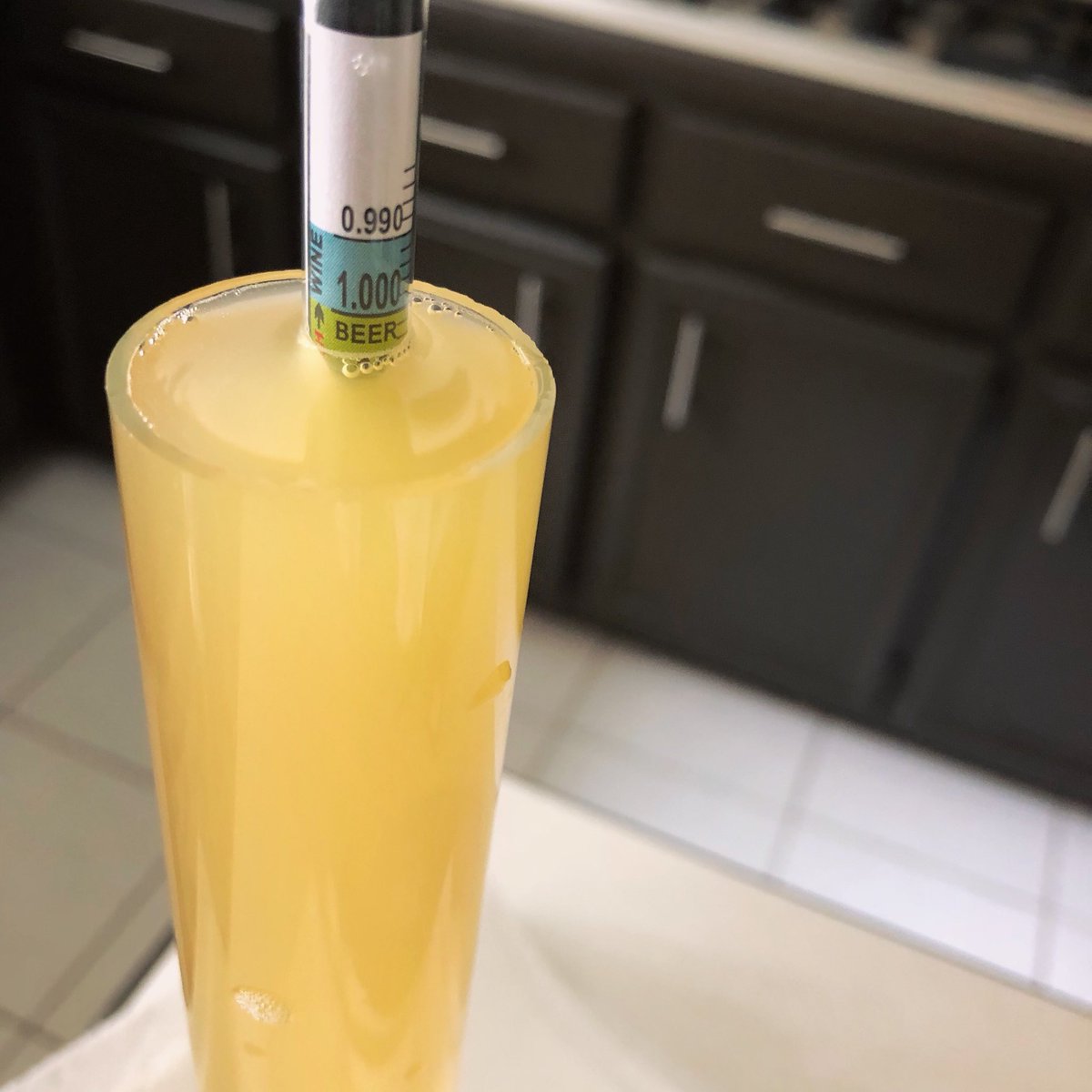 Flipsidebrewing's tweet photo. 1.006 FG on the Rye Ale. Right where it should be. https://t.co/DnrZfMMXIG