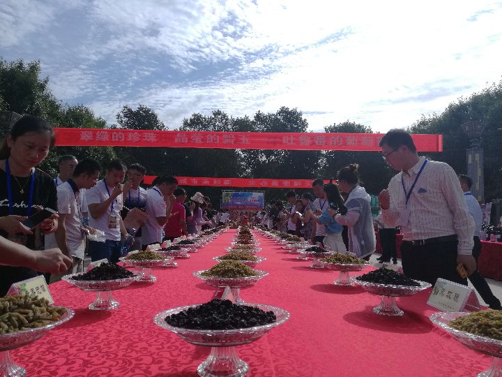 XHNews's tweet image. How many grape varieties make a party? This annual grape festival in Turpan has 220! 
#TravelinXinjiang