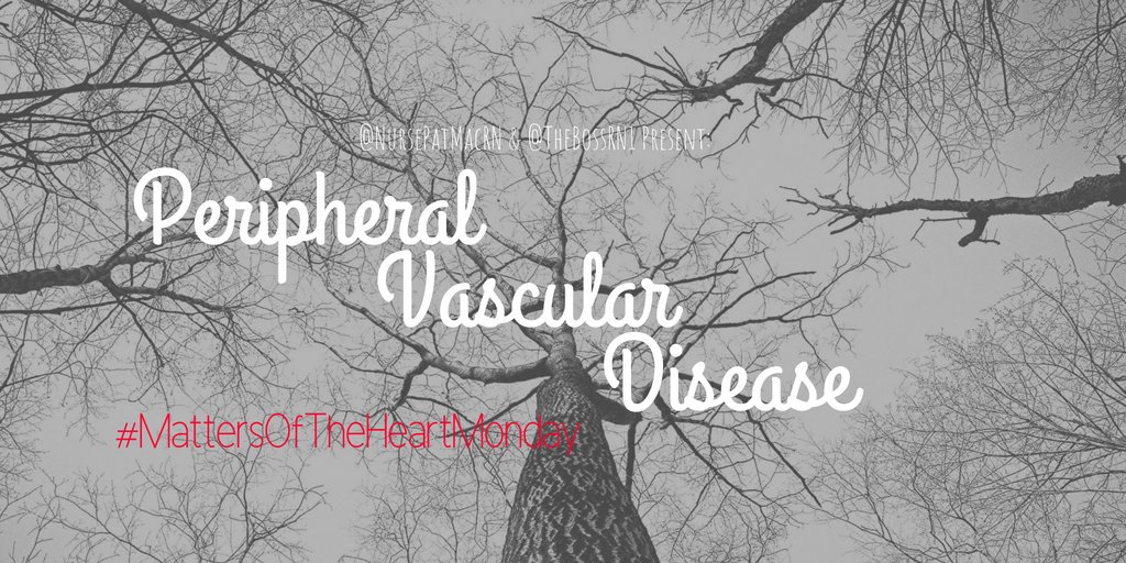 thebossrn1's tweet photo. It is bittersweet to post the last #mattersoftheheartmonday. In this post, @NursePatMacRN covers #PVD and has rounded our whole series out. Check it out at https://t.co/mCTYNLxwPm 

Also, if there was anything we didn't cover that you would like to have covered, send us a tweet! https://t.co/RXsVl8DzCg