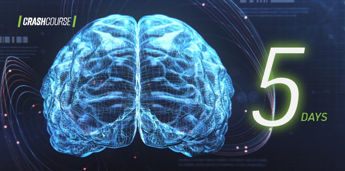 After two years of research, 6 months of production, &amp; thousands of hours of user-testing, the #CrashCourse concussion education program is ready to launch! Our interactive film will debut in just 5 days at the Stanford vs. USC football game! #IGotYourBack