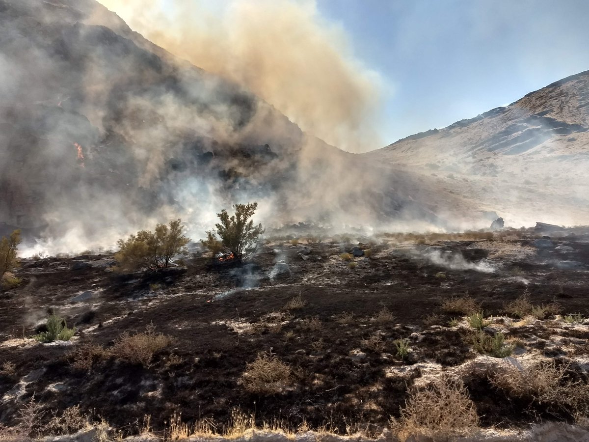 RosieReports's tweet image. Fire crews are making quick progress with the #LakesideFire, which has  burned 9,900 acres in Tooele County. Why firefighters had to retreat  Saturday night and how they are now keeping this fire under control next  on @abc4utah at 6 p.m.