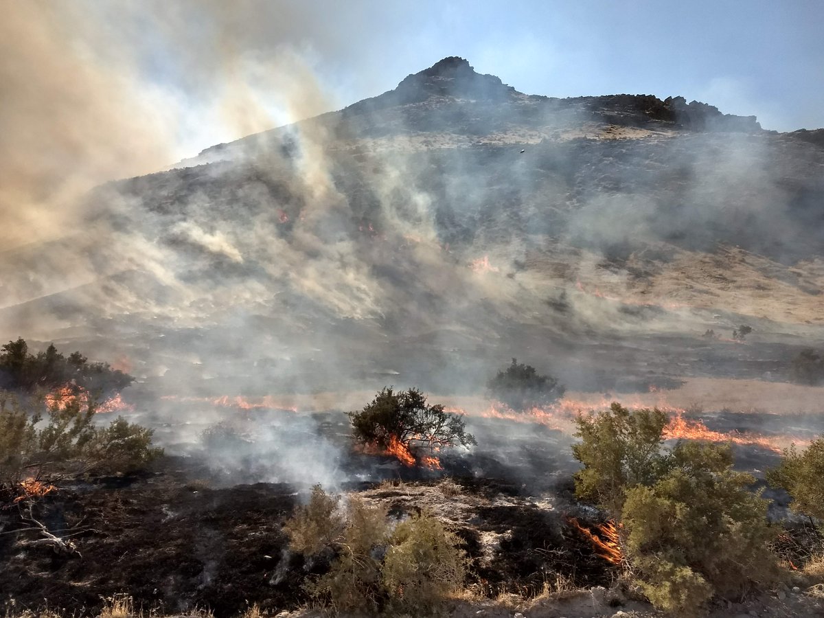 RosieReports's tweet image. Fire crews are making quick progress with the #LakesideFire, which has  burned 9,900 acres in Tooele County. Why firefighters had to retreat  Saturday night and how they are now keeping this fire under control next  on @abc4utah at 6 p.m.