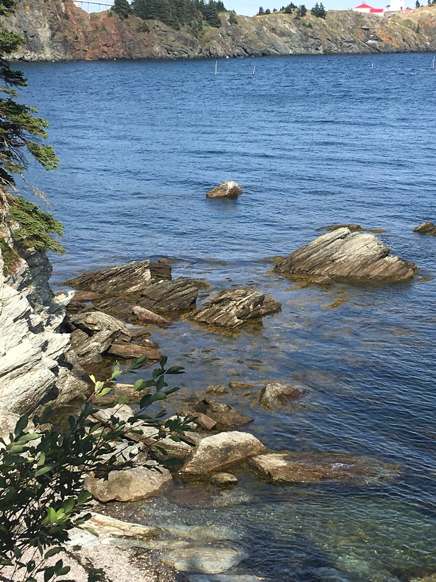 So hard to capture the beauty that is Grand Manan.  Love the beaches.