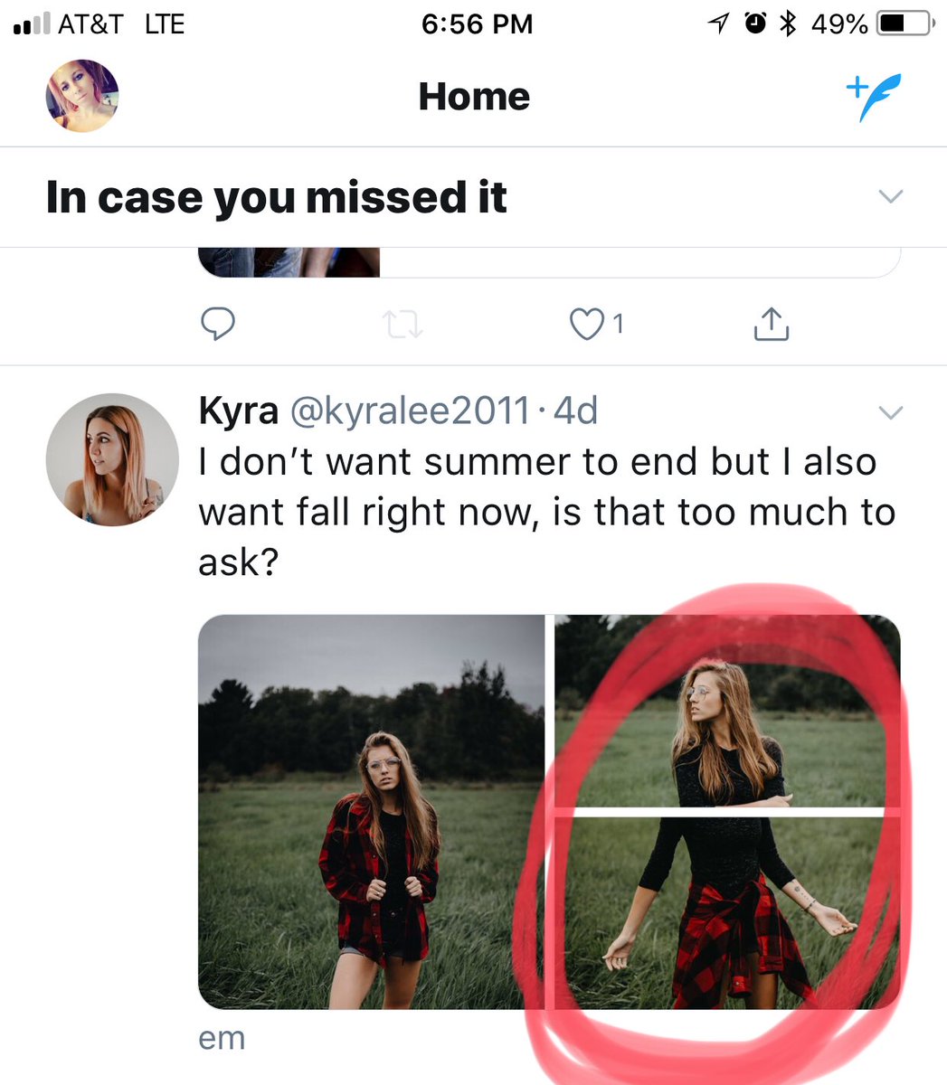 Jamie Lee tweet media