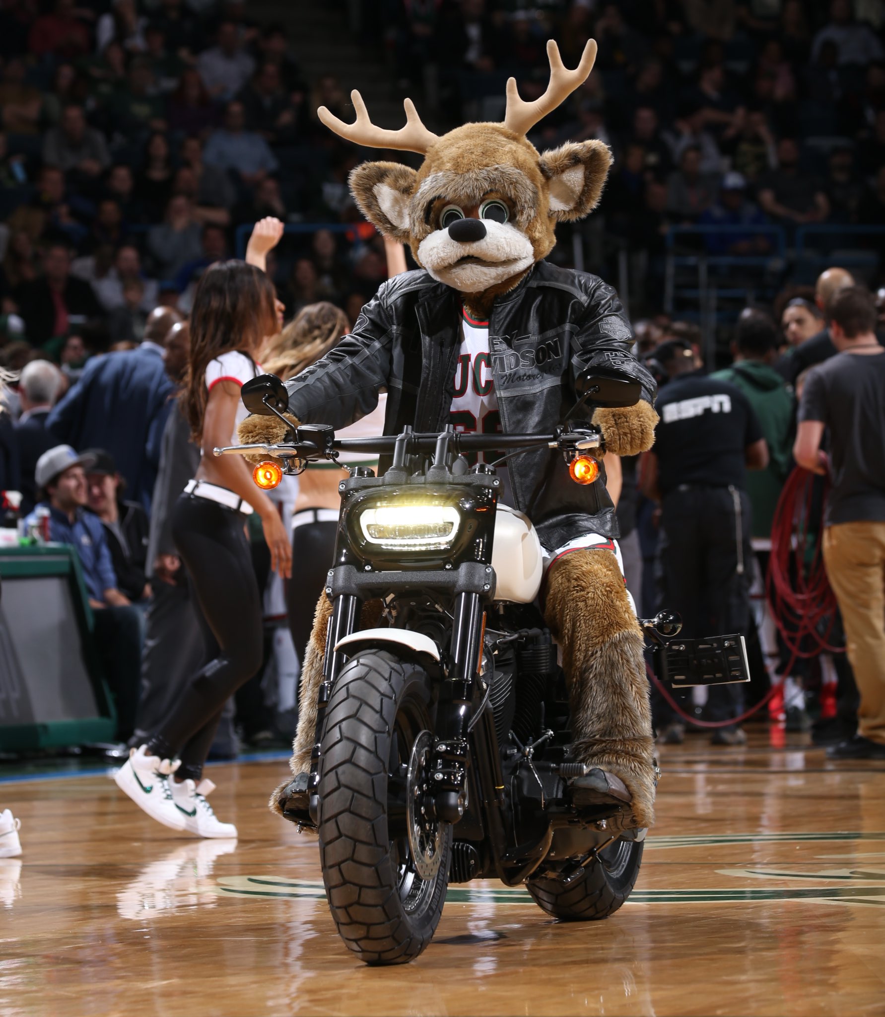 Milwaukee bucks hotsell harley davidson