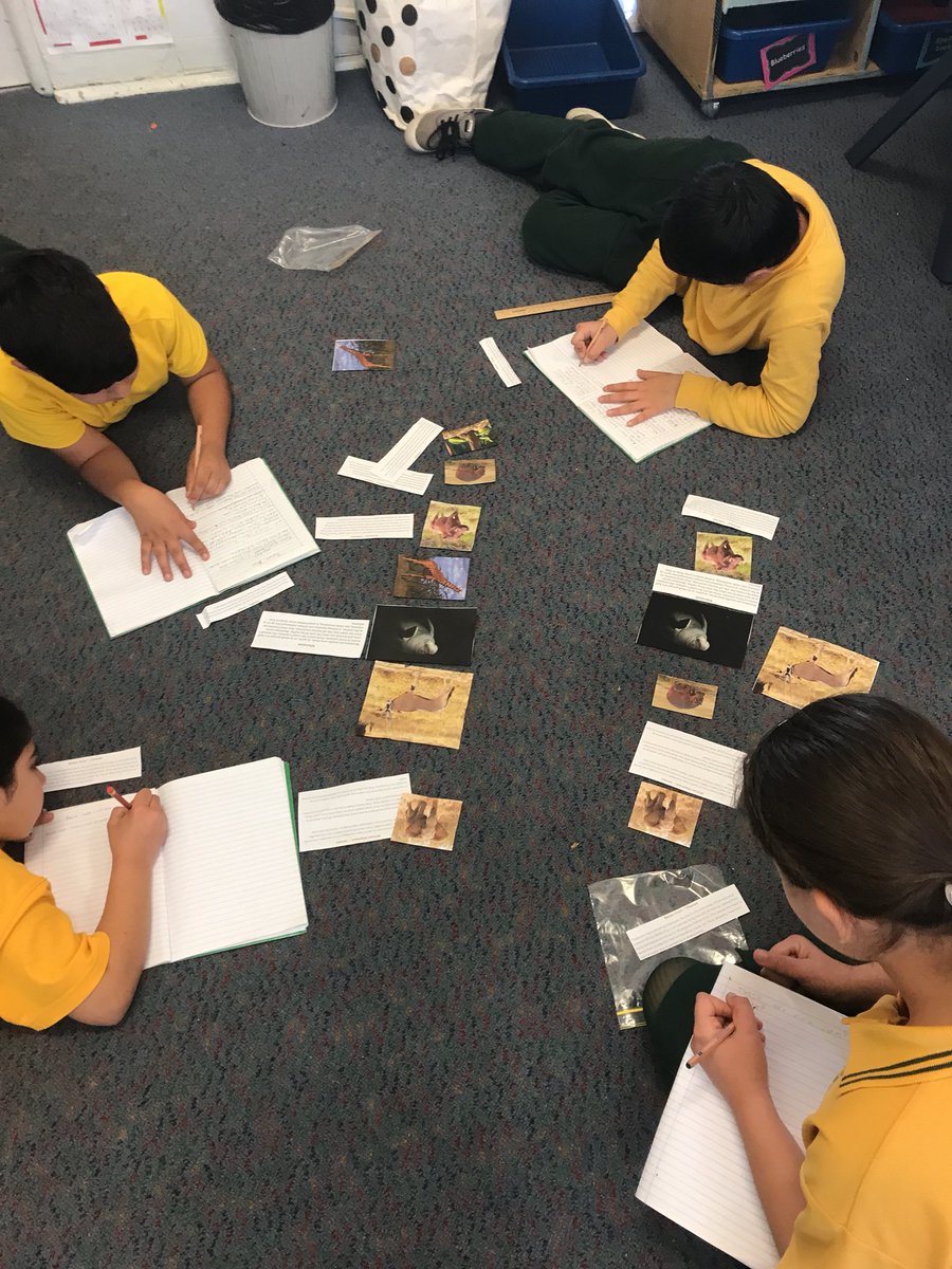 Classroom teacher (@msbnguyen) on Twitter photo Using cluster to help us predict before reading our book. #informativewriting#vocab#safarianimals <a href="/Genelle029/">Genelle Petruszenko</a> <a href="/FairWestPS/">Fairfield West PS</a> <a href="/TESOLoz/">Cindy Valdez</a> Using cluster to help us predict before reading our book. #informativewriting#vocab#safarianimals <a href="/Genelle029/">Genelle Petruszenko</a> <a href="/FairWestPS/">Fairfield West PS</a> <a href="/TESOLoz/">Cindy Valdez</a>