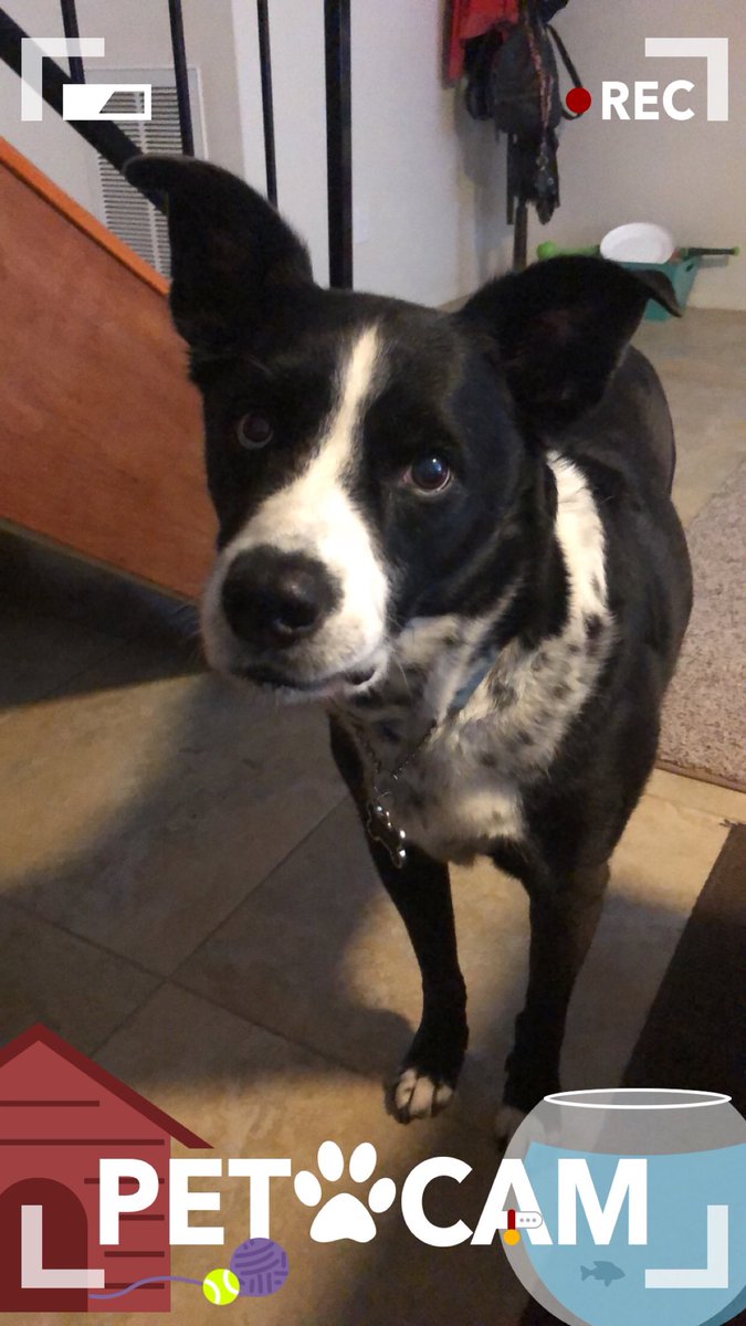 ChopperFach tweet media