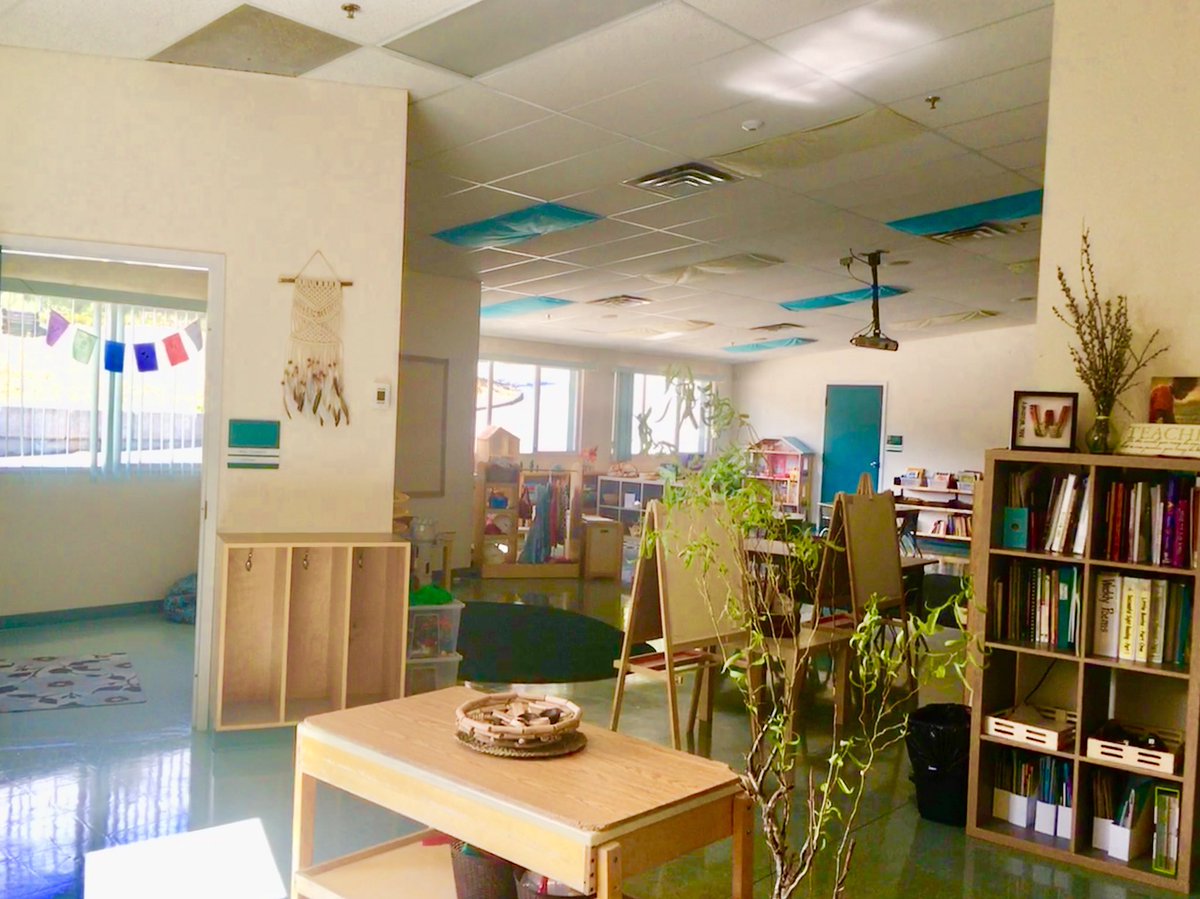 Wozney's Wonders tweet media