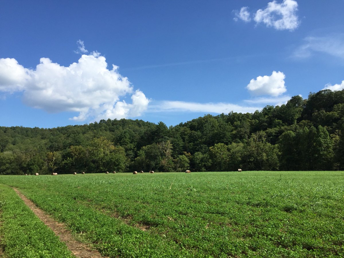 Anthonyecam's tweet image. The bite was slow, but it was a beautiful day on the water!  #smithriver #browntrout  #caughtonaflyItied #woolybooger