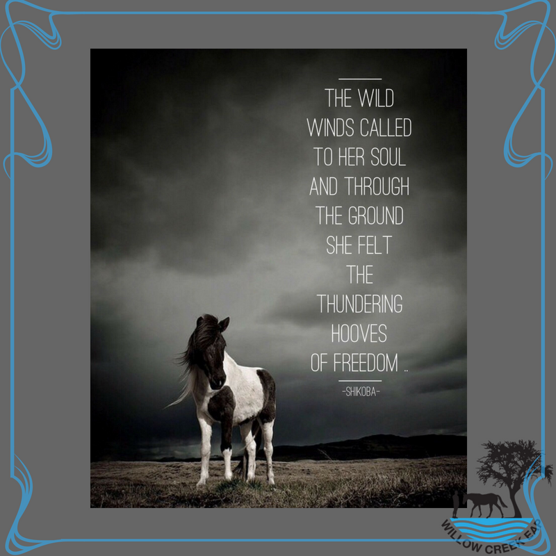 willowcreekeap's tweet photo. #wildsouls #horseshelpinghumans #equineassistedpsychotherapy #freespirit https://t.co/IQTxQyTcJF