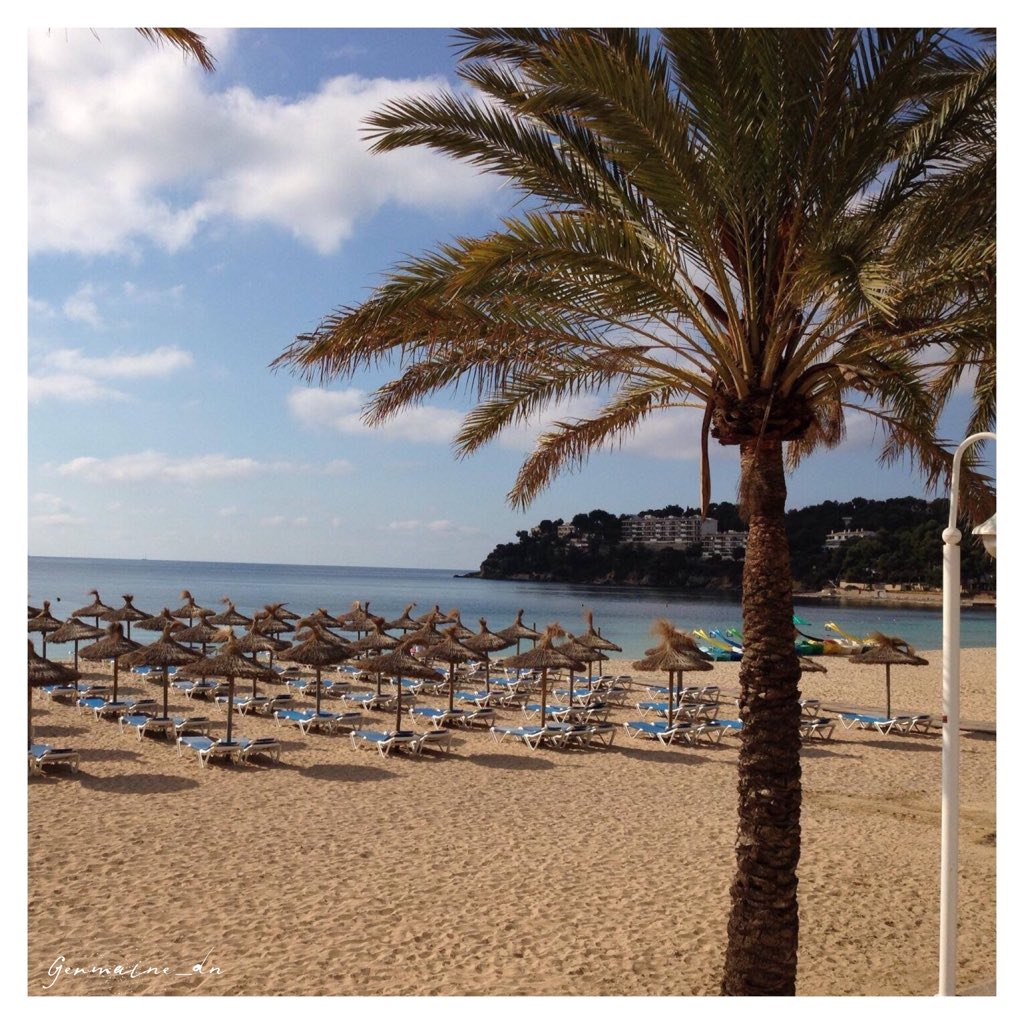 nomadnesspr's tweet photo. Mallorca, my absolute favorite place to be. It has everything: beautiful beaches, clear blue water, hiking trails, you can relax or you can go out. I’ve been at the same spot for several years now during opening Season in May and that’s the perfect time to visit. https://t.co/OgvP4pT4QH
