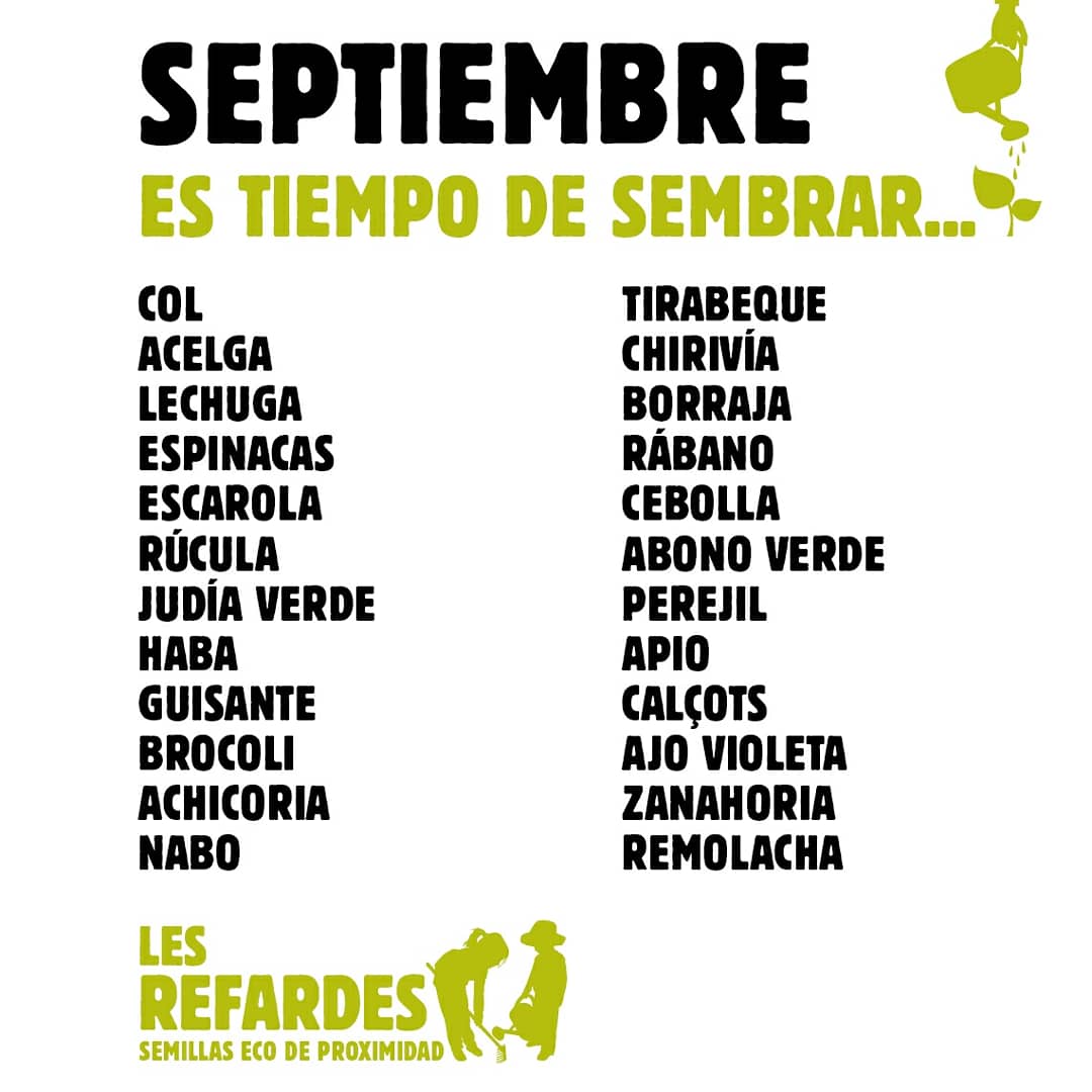 Les Refardes tweet media