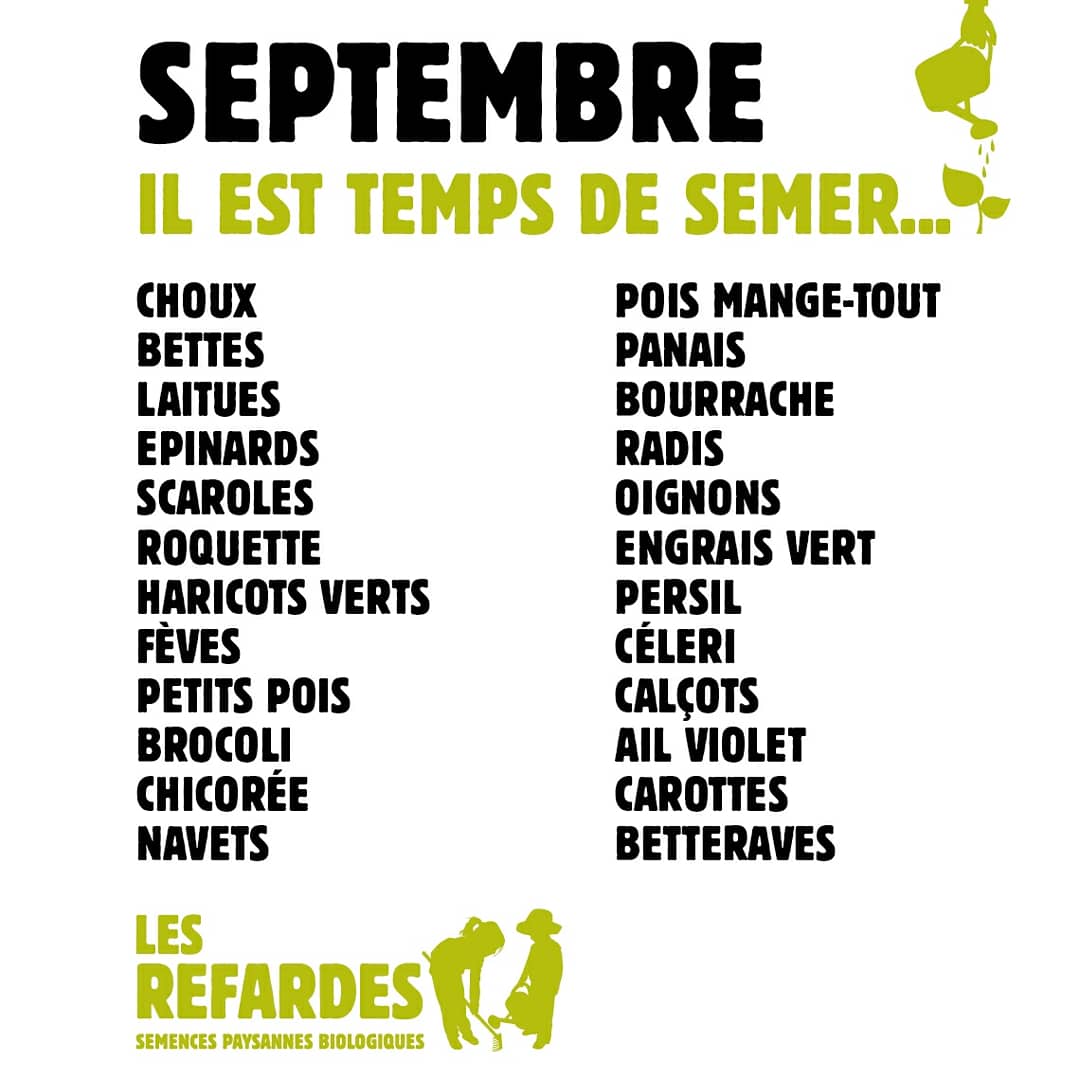 Les Refardes tweet media