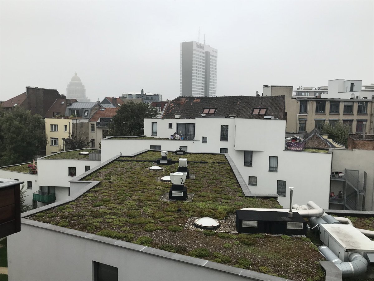 Good view of  #GreenRoofs from my #Brussels hotel room, just before a @ClimateKIC activity to scale Nature Based Solutions 🌱#SustainableUrbanDevelopment