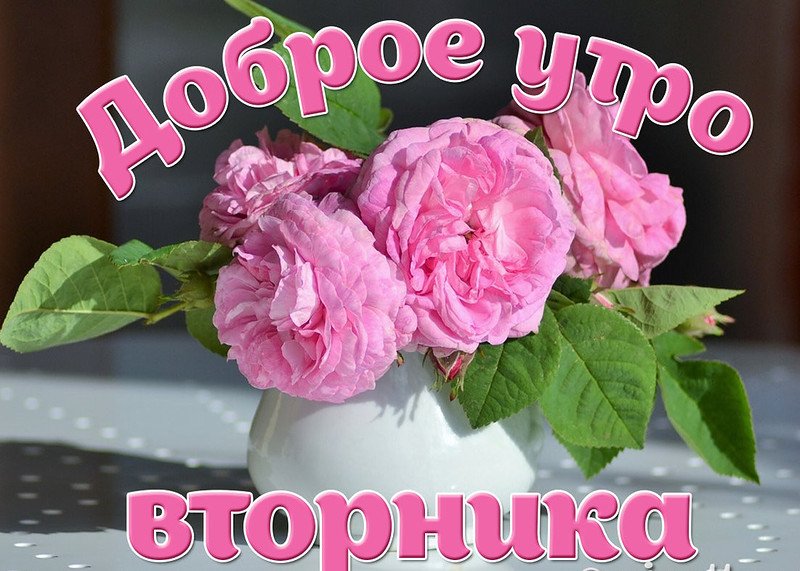 Прикольные картинки с вторником и удачной