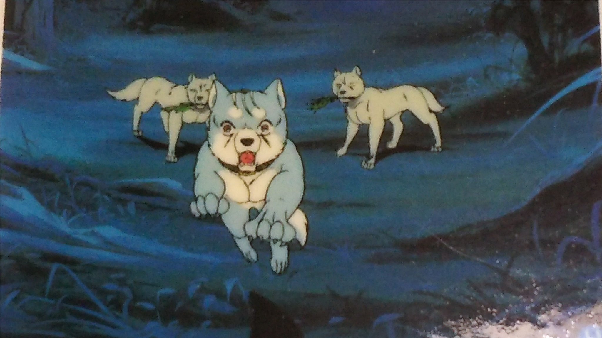 تويتر 中原伸明 على تويتر 銀牙 銀牙ー流れ星銀ー アニメの銀 牙のシーンですね 仲間のため 薬草を届けに向かうも 赤目の危機をほっておけず 助けに向かう銀 子供ながら 戦士ですね T Co G6iz2mxode