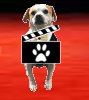 DoesItHaveDogs's tweet image. Updates are live on the site! Does it have dogs? 
New movie reviews: Step Brothers (2008), Cool Runnings (1993), Murder On The Orient Express (2017)
DoesItHaveDogs.com 
patreon.com/DoesItHaveDogs 
#DoesItHaveDogs #MovieReviews #DogsofTwitter #DogsLife #Dogs #Reviews #DIHD