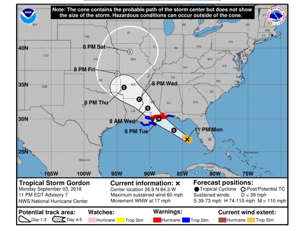 CatchCade's tweet image. Not the Gordon I was hoping to get a visit from 😕 @GordonRamsay