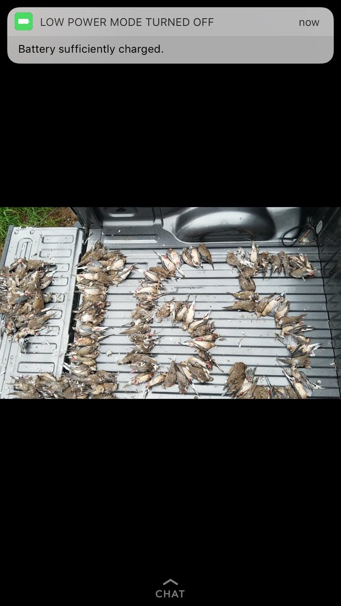 Just_Ass_'s tweet photo. Solid ass opening weekend #DoingCraigShit https://t.co/t715rAfYdZ