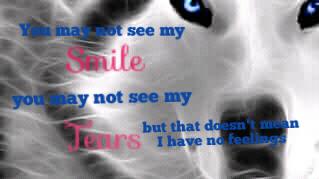 Kaymo_wolf's tweet image. 