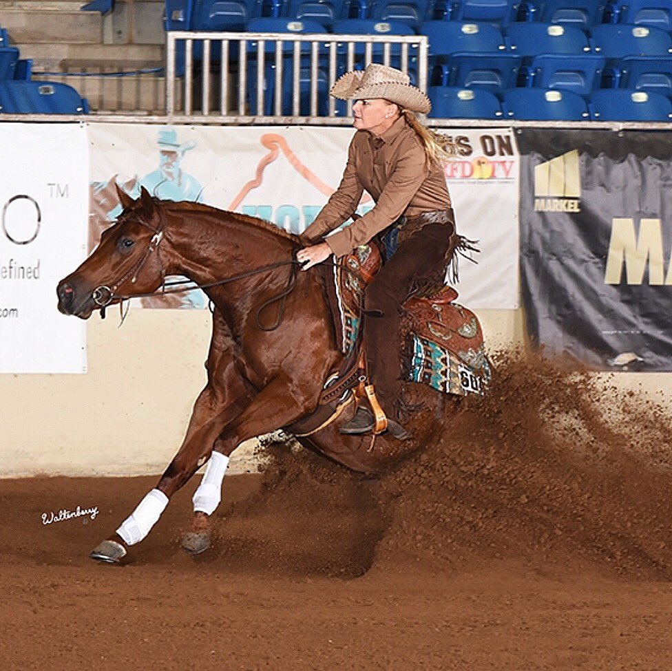 tjenkinsreiners's tweet photo. Getting into that futurity season!!!! #bobscustomsaddles #shortyscaboyhattery #platinumperformance #classicequine #ezall #CowboyMagic #showstoppin #westernhauler #weldwheels #ridewithequo https://t.co/4oa0pQMTTt