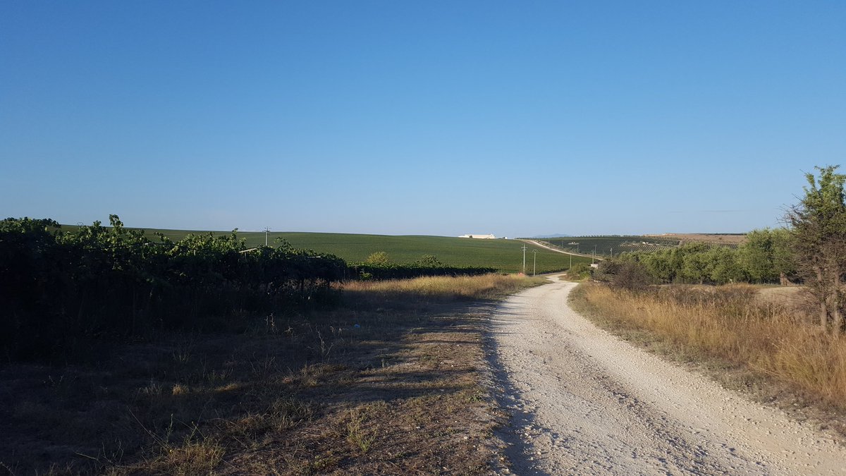 chericaleb's tweet photo. This morning's run. #lastdayinitaly:( https://t.co/j6WcM00mA2