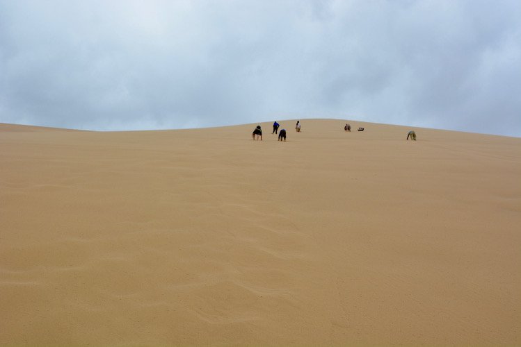 Climbing the dunes at Khongoryn Els is one of the most challenging and rewarding Mongolian activities