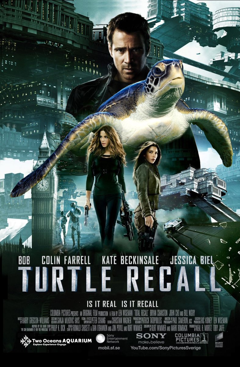 2OceansAquarium's tweet photo. Which of these #movies do you wish was real? 📽️
#NetFishAndChill https://t.co/TS10En6pId
