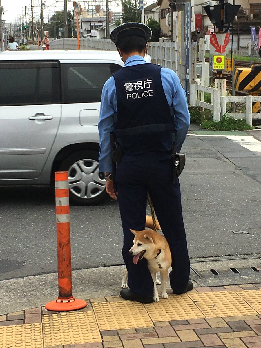 こんなに可愛い警察犬いるの仕事できなくても許すわ 話題の画像プラス