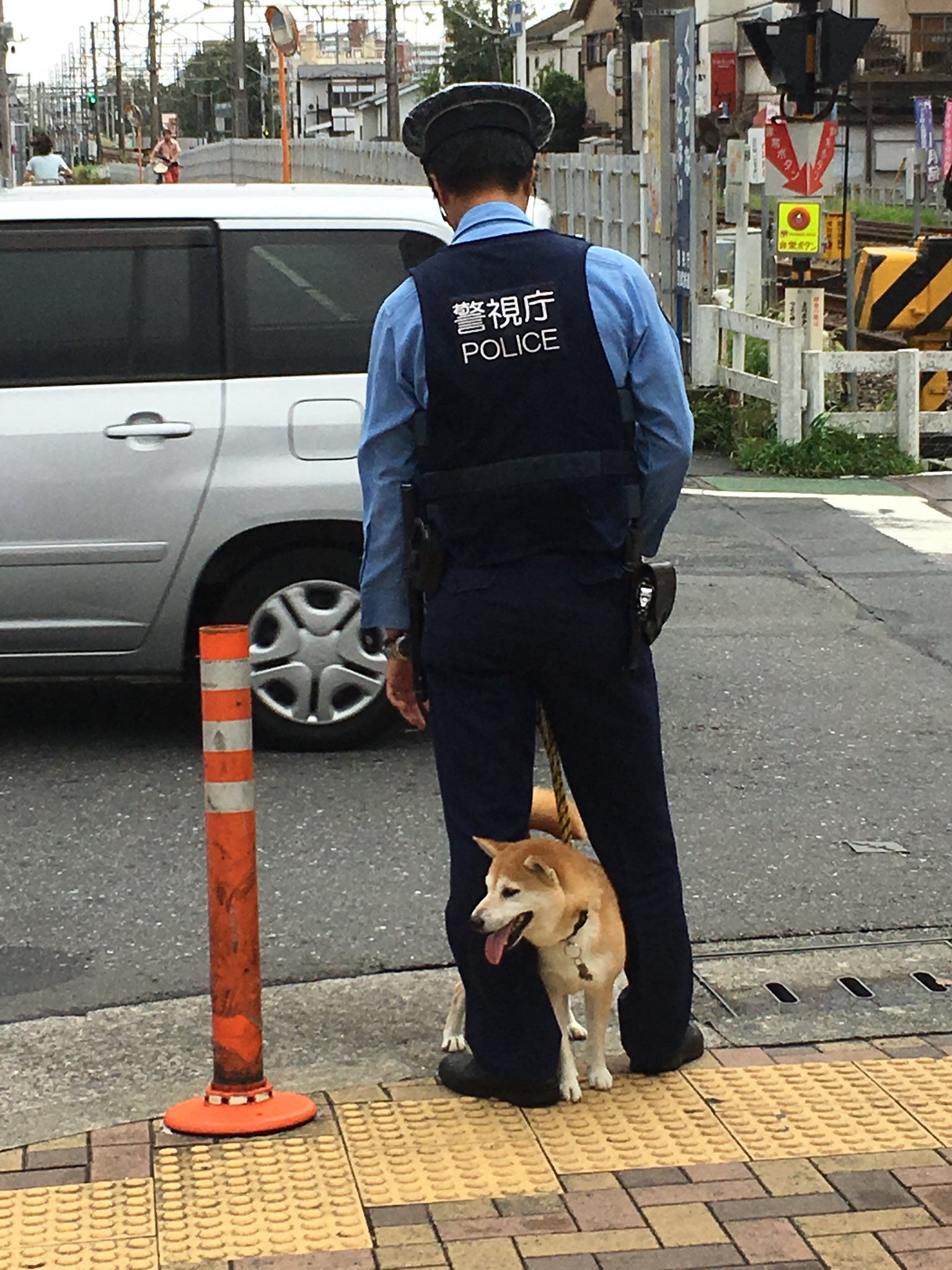 こんなに可愛い警察犬いるのww仕事できなくても許すわww 話題の画像プラス