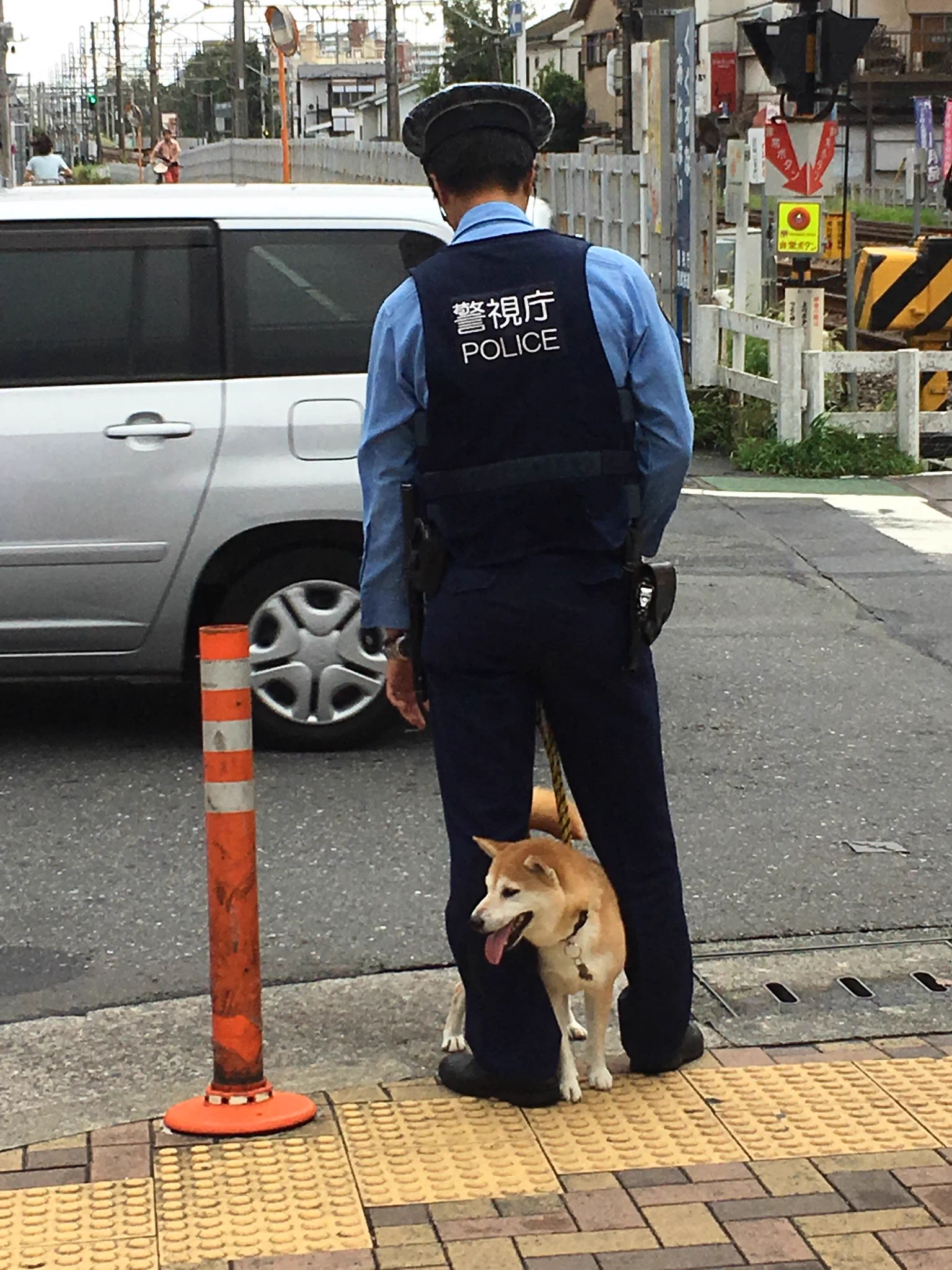 こんなに可愛い警察犬いるのww仕事できなくても許すわww